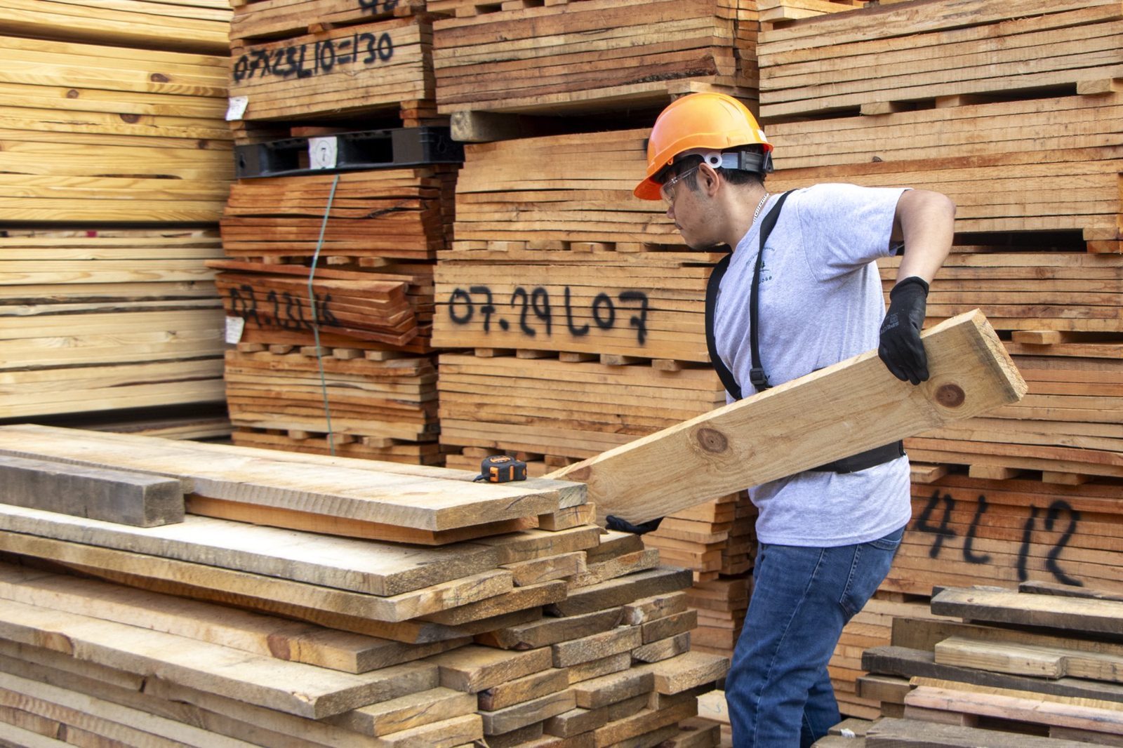 Trabajador Proterey seleccionando madera