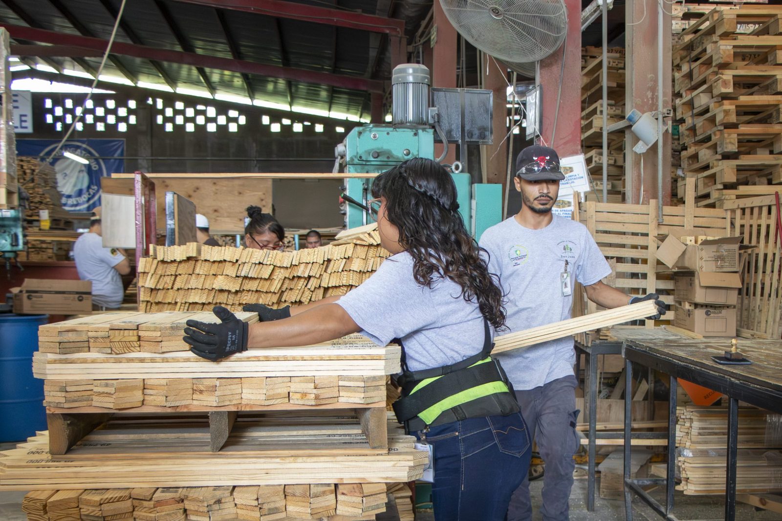 Equipo de producción Proterey